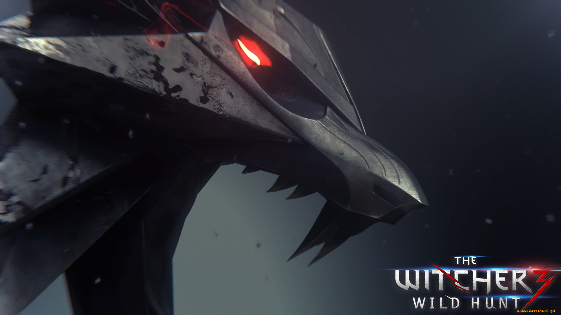 , , the, witcher, wild, hunt